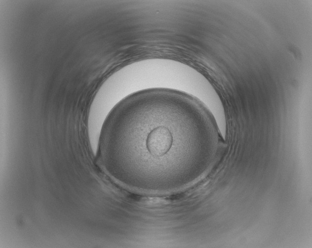 X0000115380327200911171441