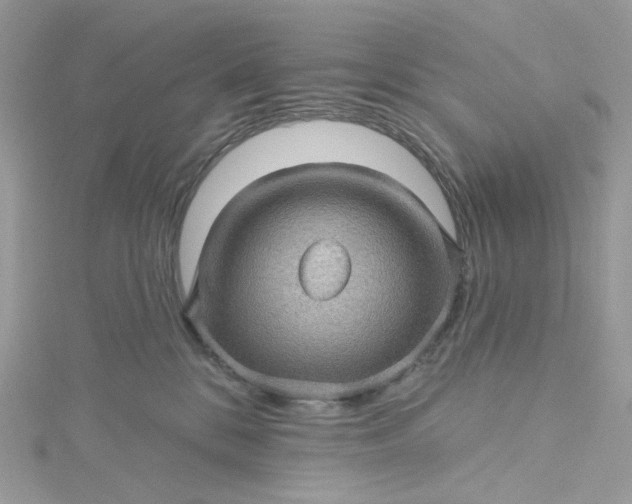 X0000115380328200911171440