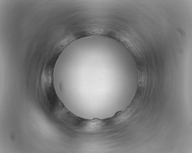 X0000115380334200911171440