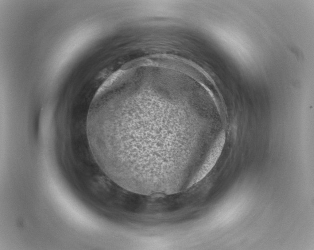 X0000115380335200911171440