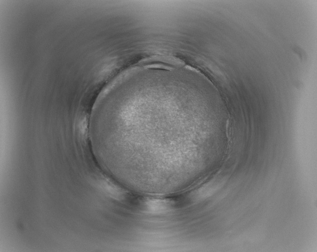 X0000115380336200911171440