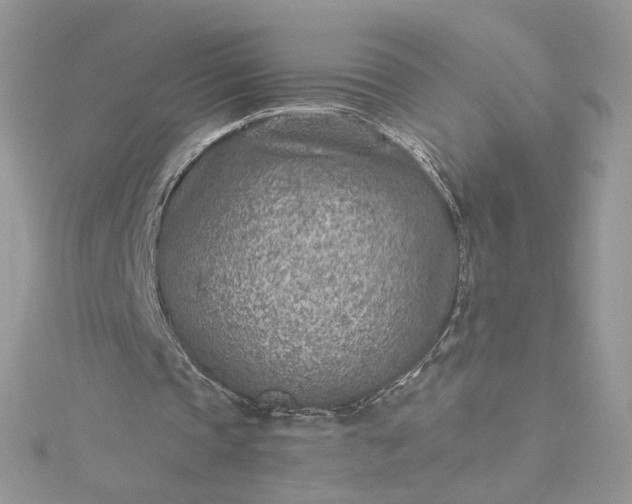 X0000115380337200911171440