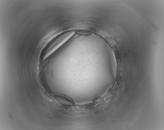 X0000115380338200911171440