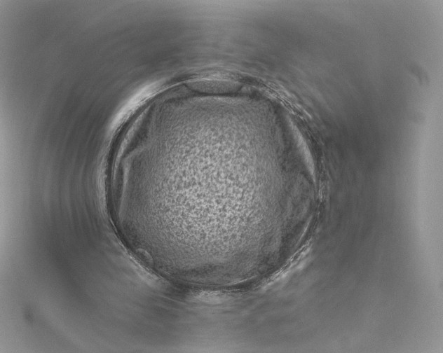 X0000115380341200911171440