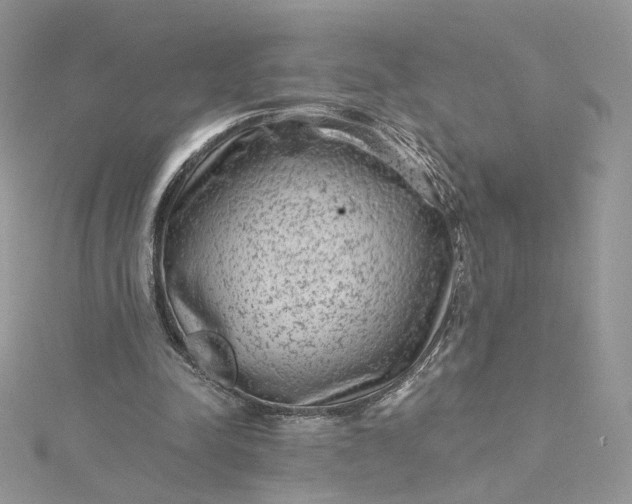 X0000115380342200911171440