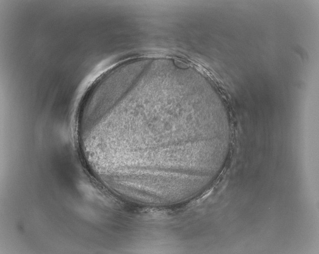 X0000115380343200911171440