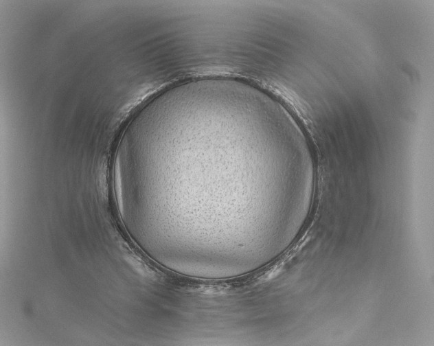 X0000115380345200911171440