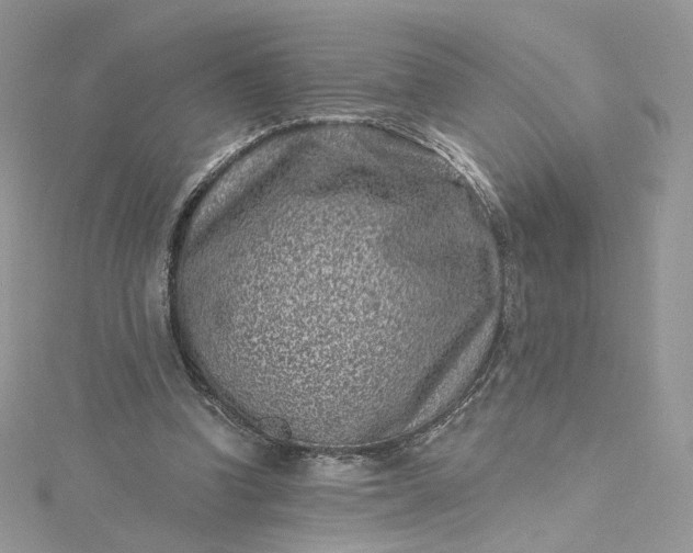 X0000115380346200911171440