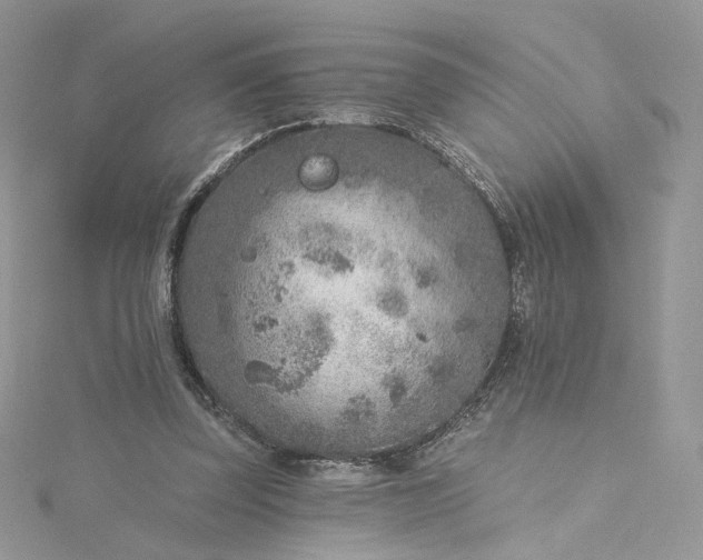 X0000115380347200911171440