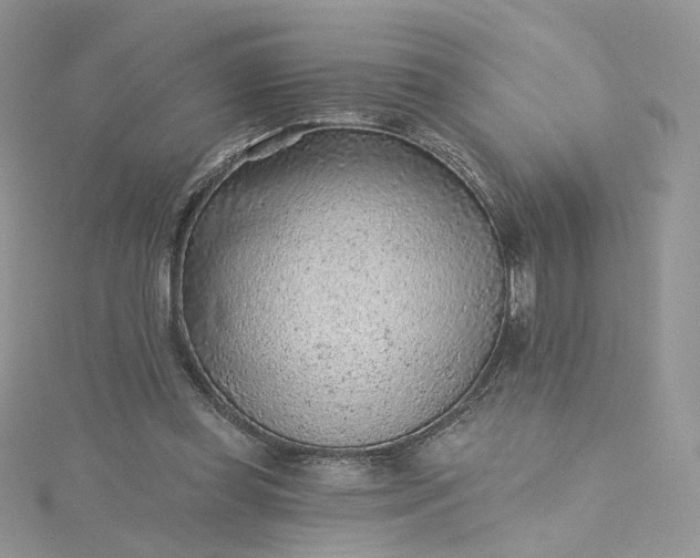 X0000115380349200911171440