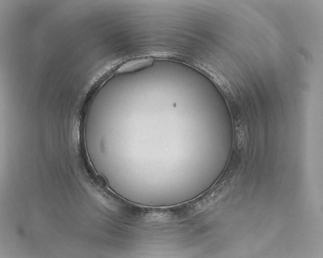 X0000115380350200911171440