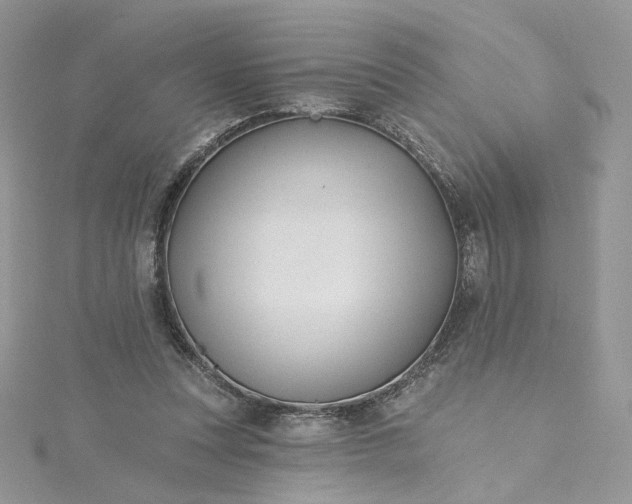 X0000115380351200911171440