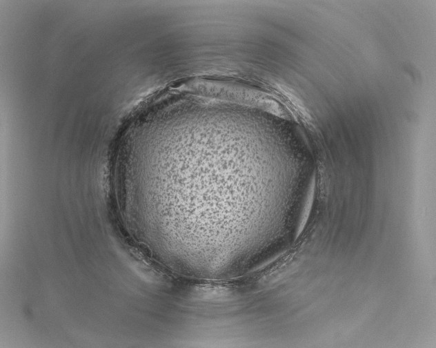 X0000115380354200911171440