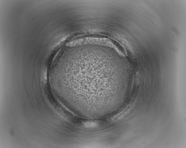 X0000115380358200911171440