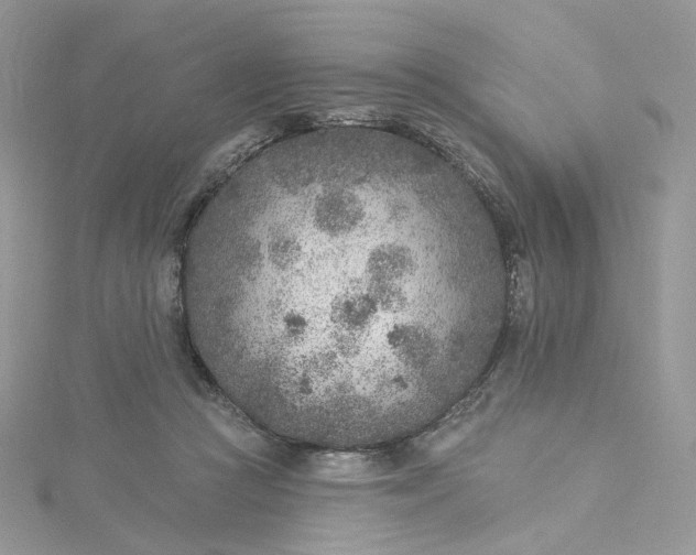 X0000115380361200911171440