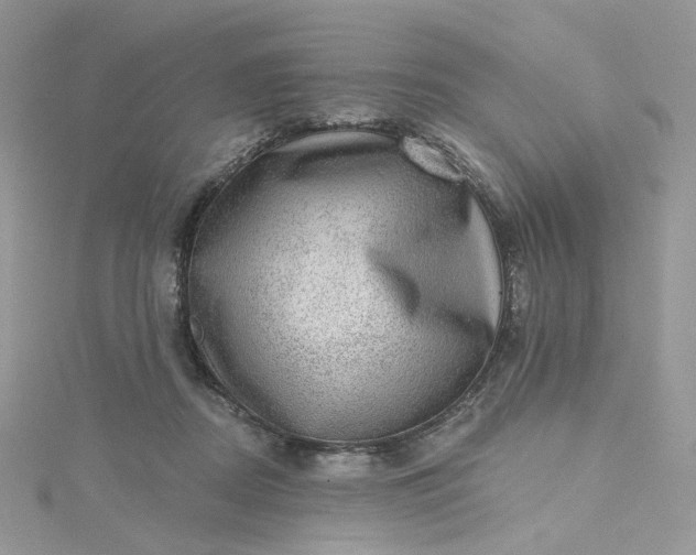 X0000115380362200911171440