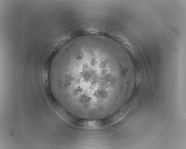 X0000115380365200911171440