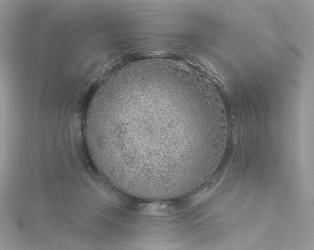 X0000115380366200911171440