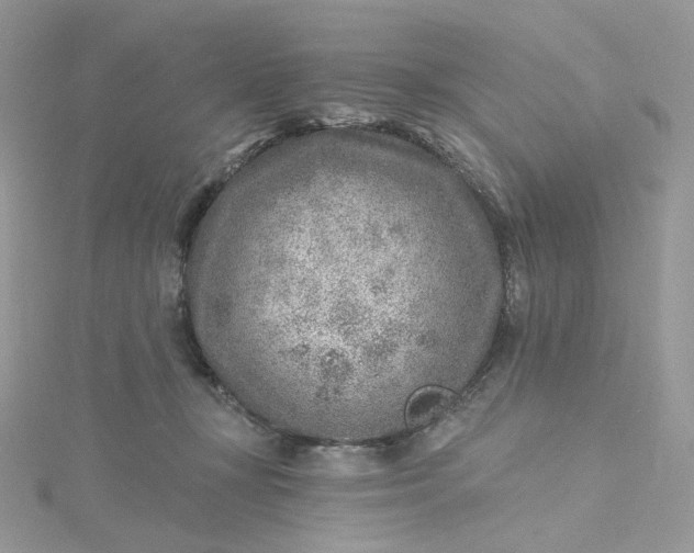 X0000115380367200911171440