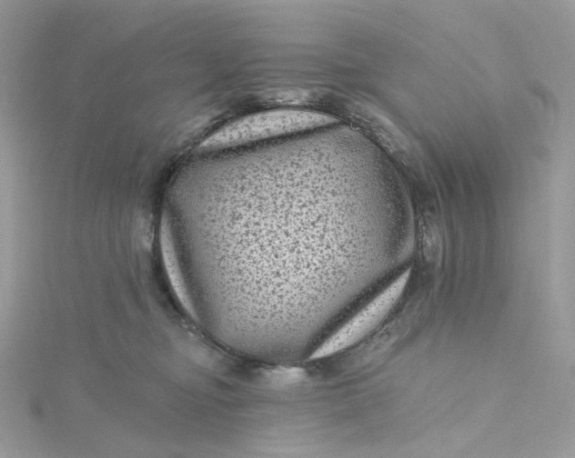 X0000115380374200911171440