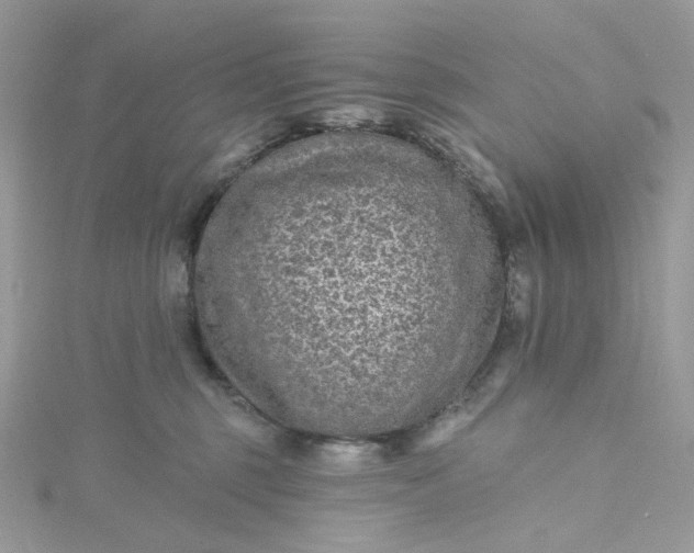 X0000115380375200911171440