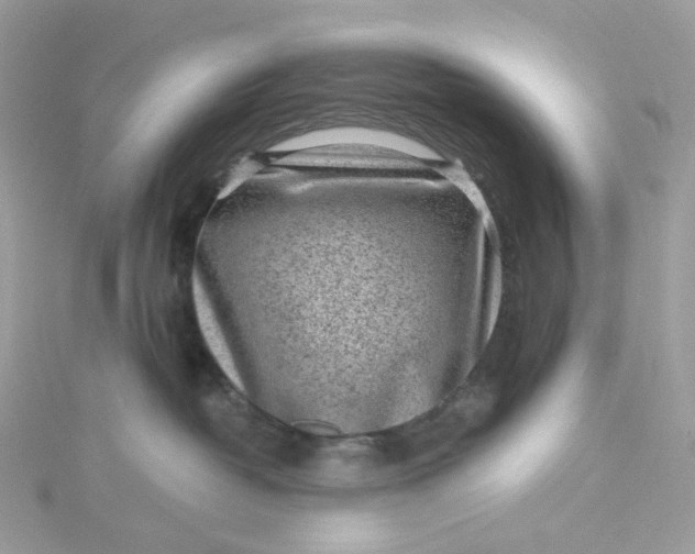 X0000115380382200911171440