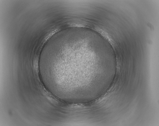 X0000115380386200911171440