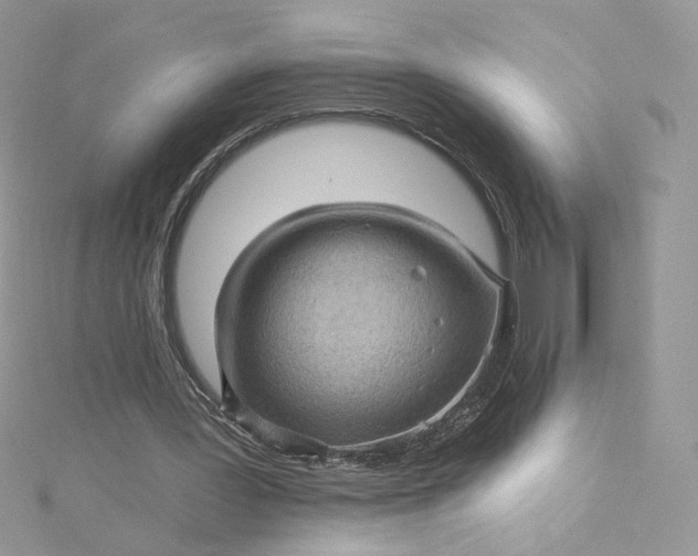 X0000115380387200911171440