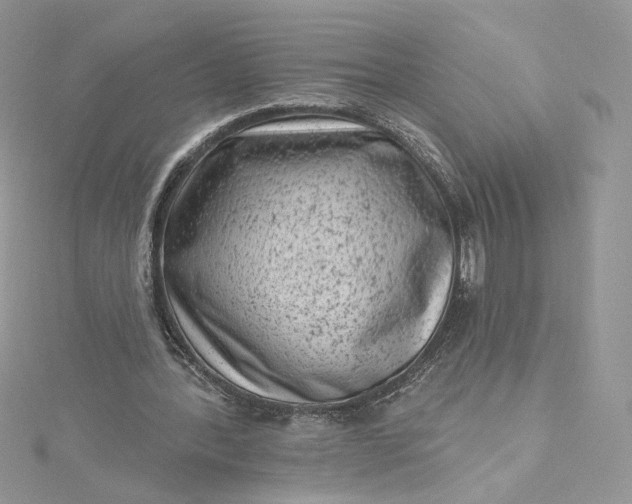 X0000115380388200911171440