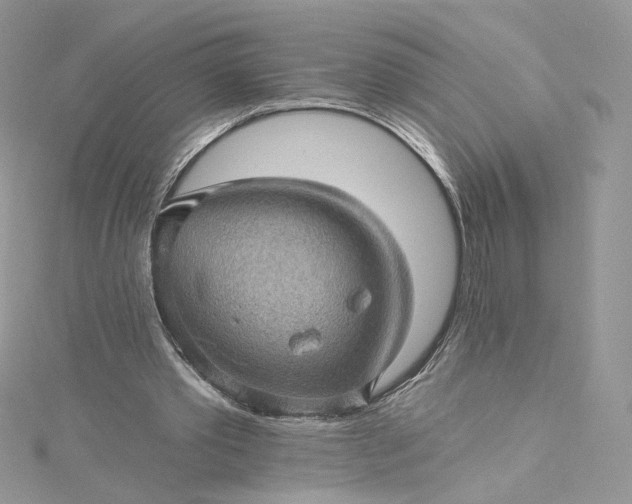 X0000115380389200911171440