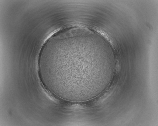 X0000115380390200911171440