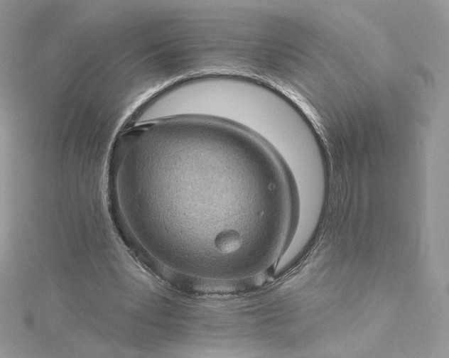 X0000115380391200911171440