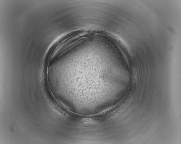 X0000115380392200911171440