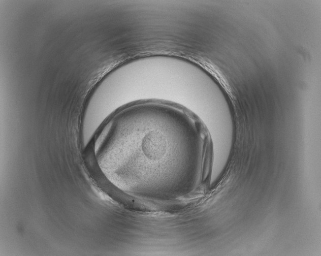 X0000115380393200911171440