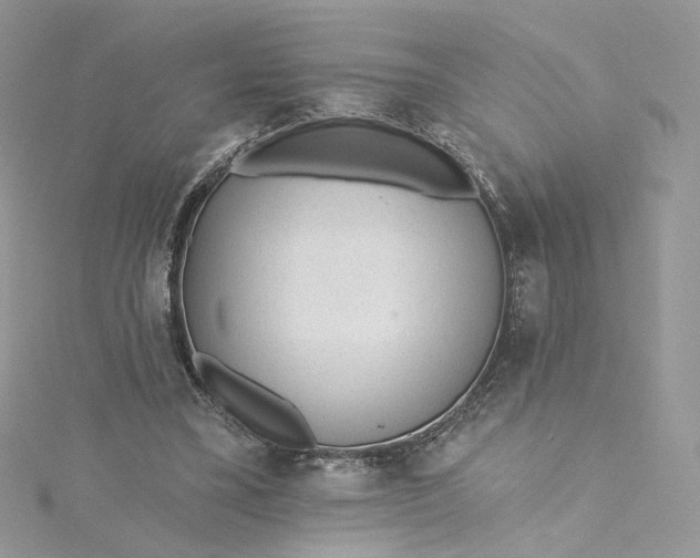 X0000115380395200911171440