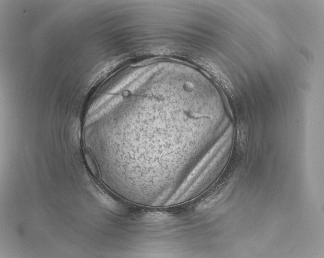 X0000115380397200911171440