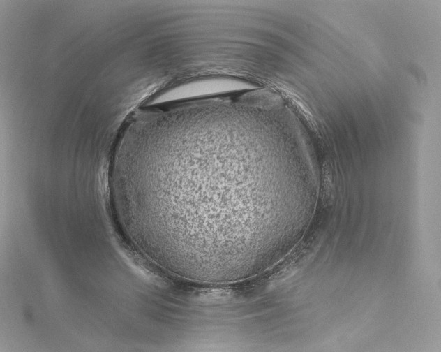 X0000115380398200911171440