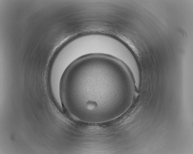 X0000115380399200911171440