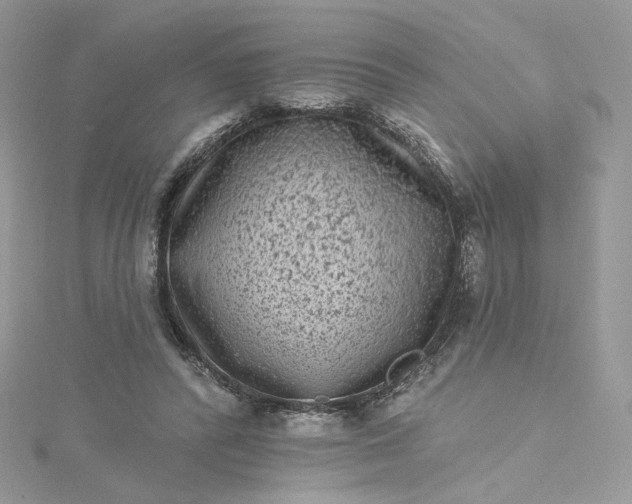 X0000115380400200911171440