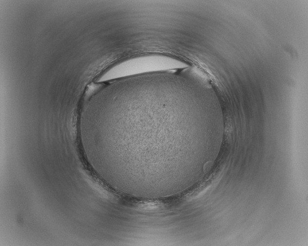 X0000115380402200911171440