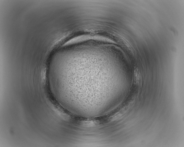 X0000115380404200911171440