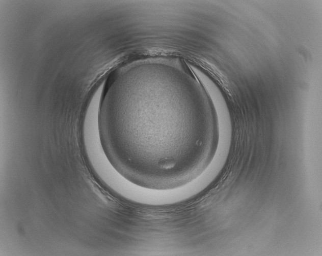 X0000115380405200911171439