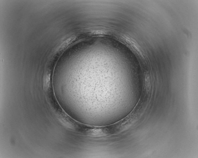 X0000115380406200911171439