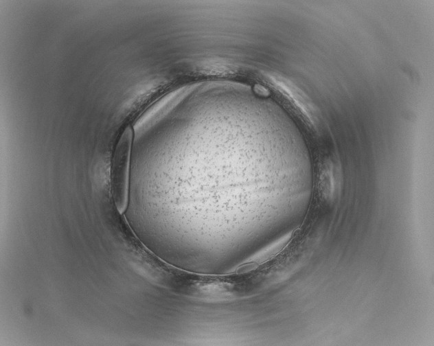 X0000115380407200911171439