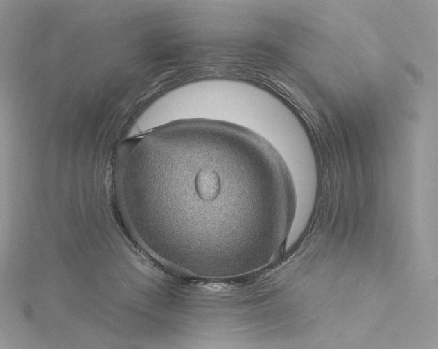 X0000115380409200911171439