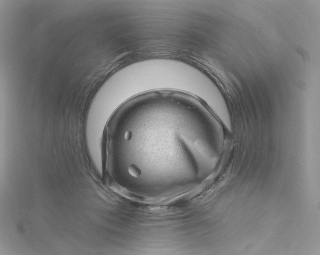 X0000115380413200911171439