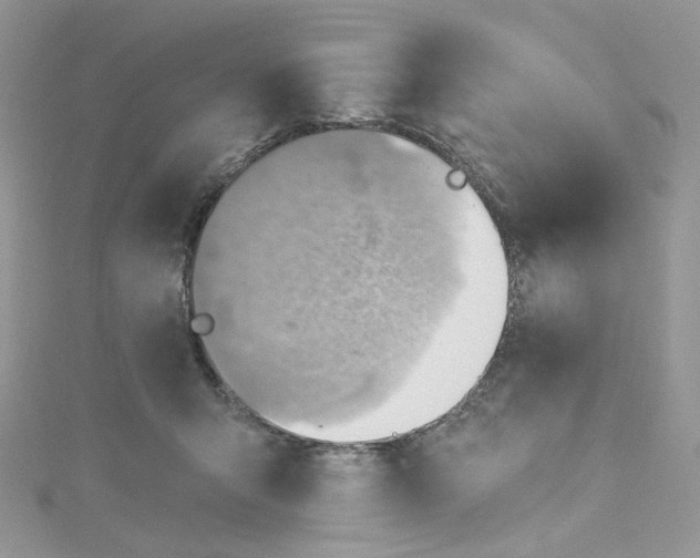 X0000115380415200911171439