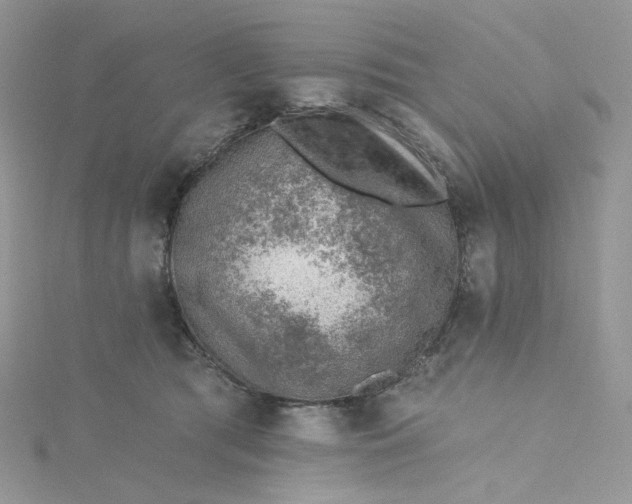 X0000115380417200911171439