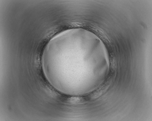 X0000115380418200911171439