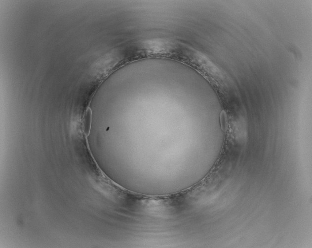 X0000115380419200911171439